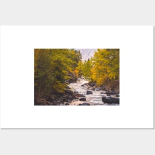 River Through Autumn Forest Posters and Art